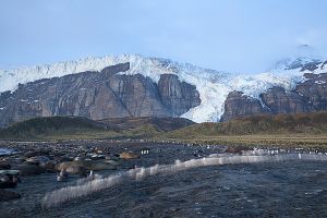 Gold Harbour, South Georgia Island 006.jpg